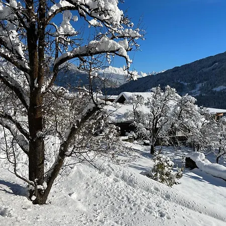 Апартаменты Traumapartment Murmeltier Tirol Гринс