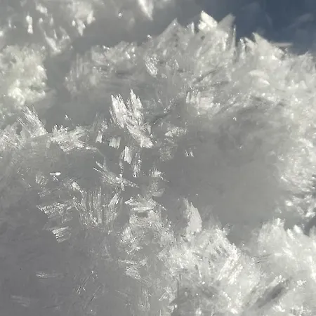 Traumapartment Murmeltier Tirol Апартаменты