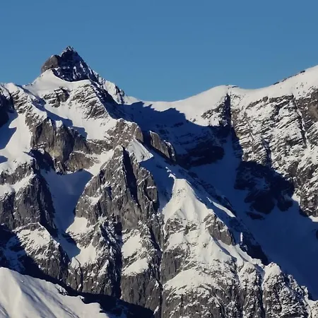 Traumapartment Murmeltier Tirol Апартаменты *