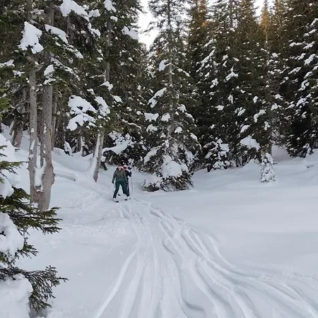 Апартаменты Traumapartment Murmeltier Tirol Гринс