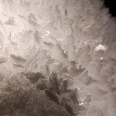 Traumapartment Murmeltier Tirol *